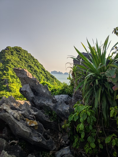 绿色的小山
